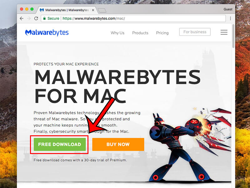 Should I Download Malwarebytes For Mac